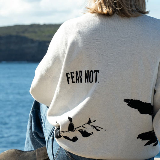 christian sweater fear not