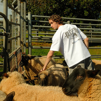 Person interacting with sheep in a pen